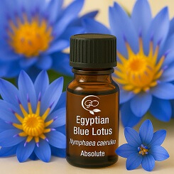 Egyptian Blue Lotus Absolute