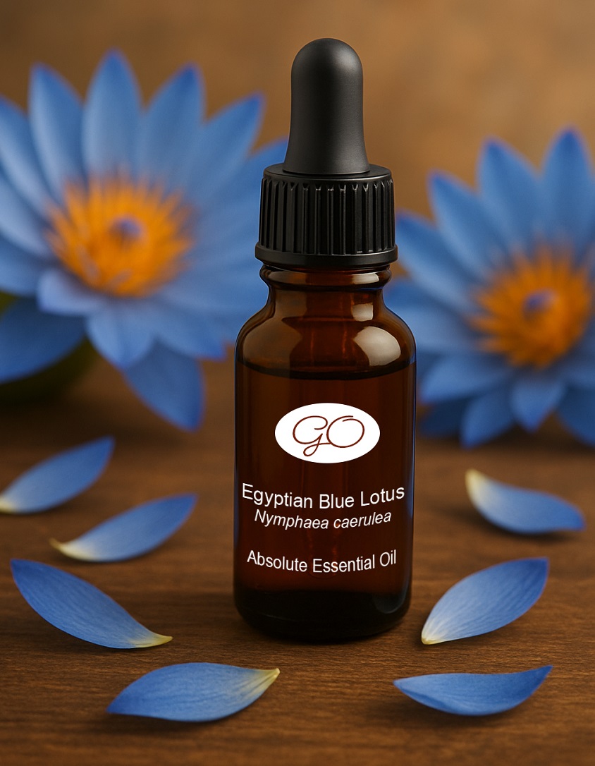 Blue Lotus Oil