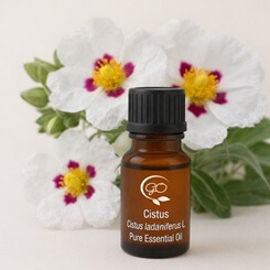 Cistus Essential Oil