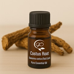 Costus Essential Oil