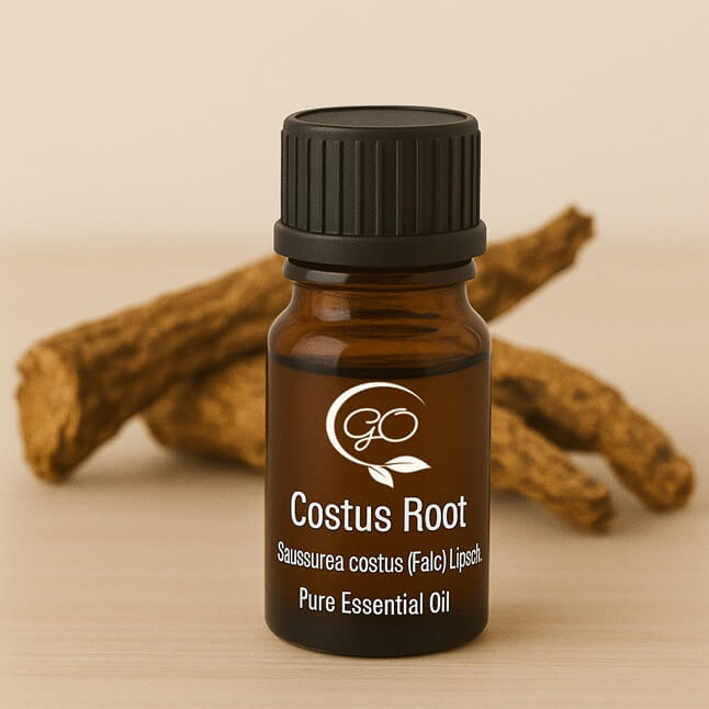 Costus Essential Oil