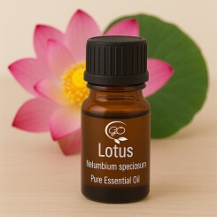 Lotus Essential Oil