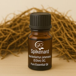 Spikenard Essential Oil