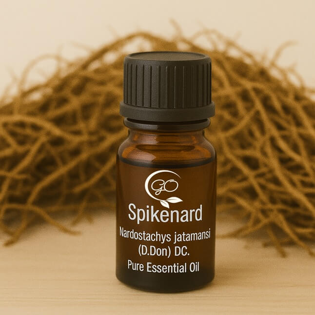 Spikenard Essential Oil