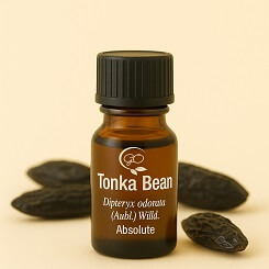 Tonka Bean Absolute