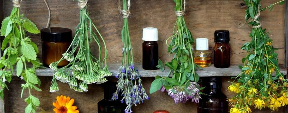Wild herbs and flowers being bunched with scissors, twine, amber bottles, and a rustic wooden workbench