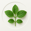 Bergamot Mint