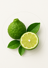 Bergamot