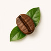 Coffee Bean