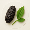 Tonka Bean