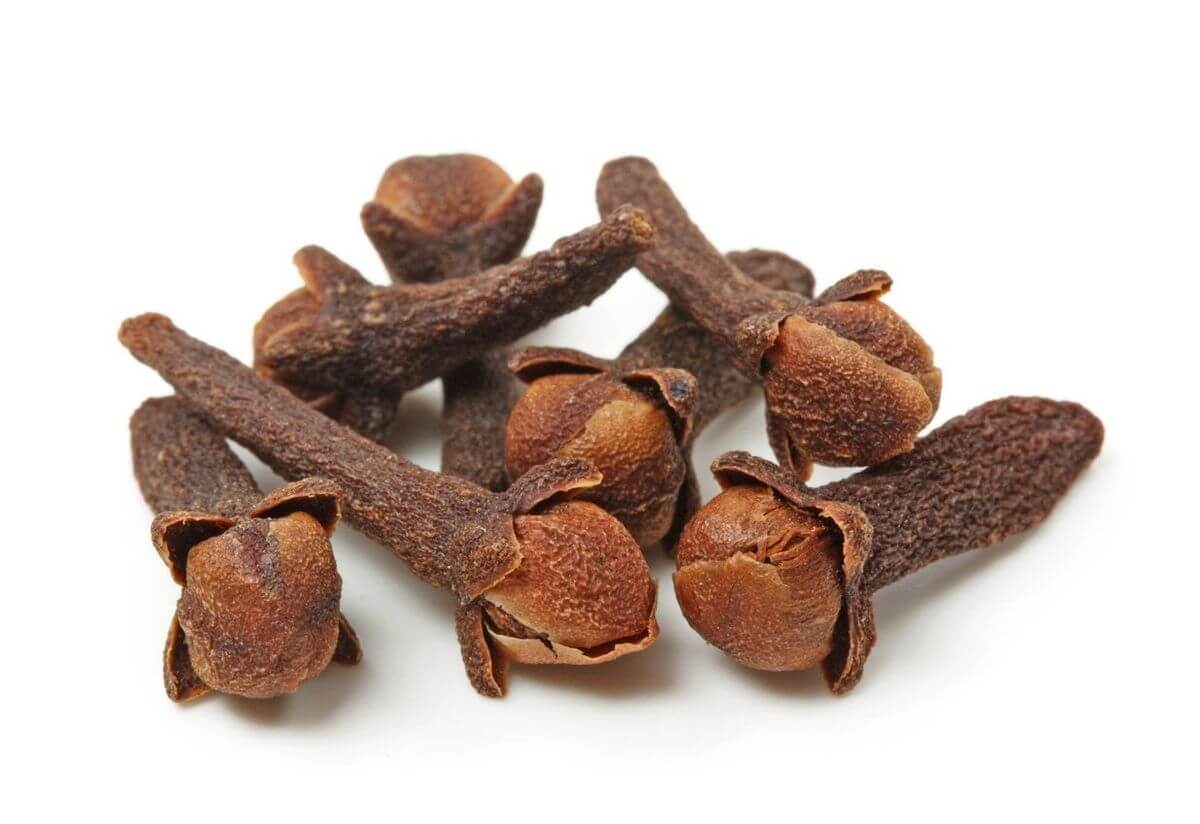 clove sprig