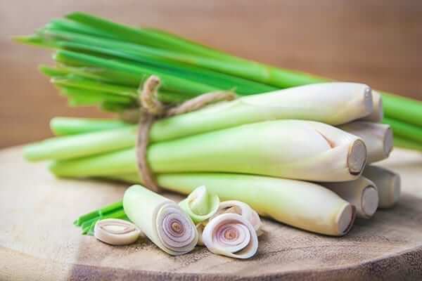 lemongrass sprig