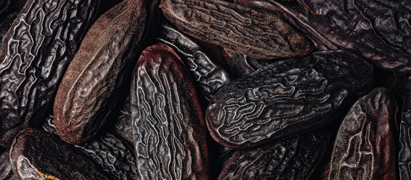 tonka-bean sprig