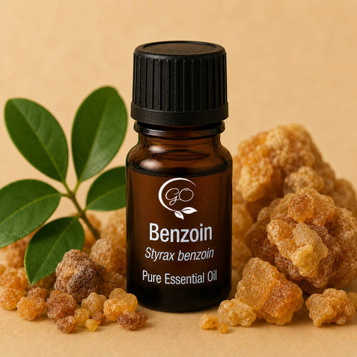 Benzoin Essential Oil