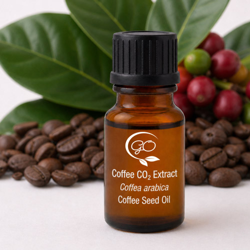 Coffee Bean Oil