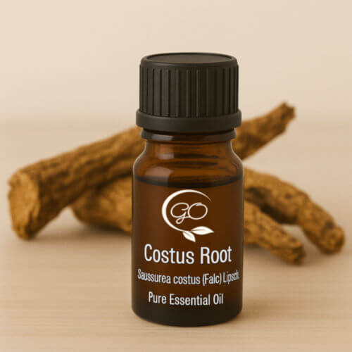 Costus Root Essential Oil