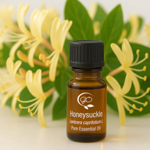 Honeysuckle Essential Oil