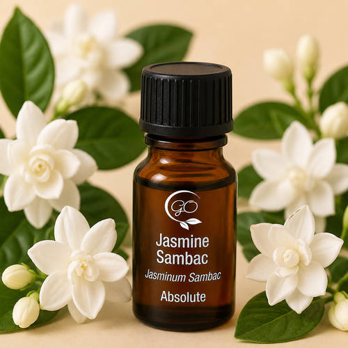 Jasmine Sambac Absolute