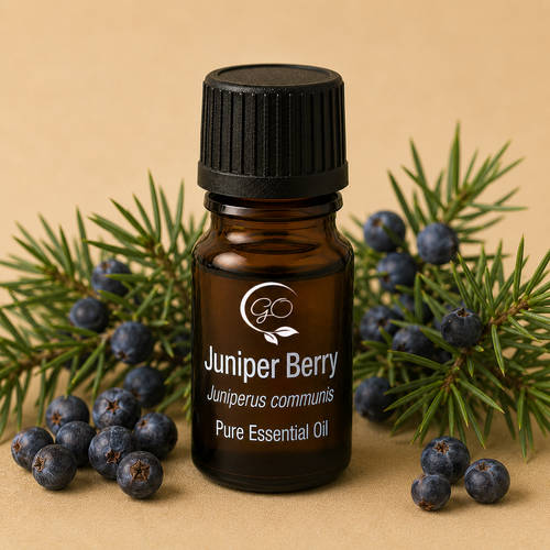 Juniper Berry Essential Oil