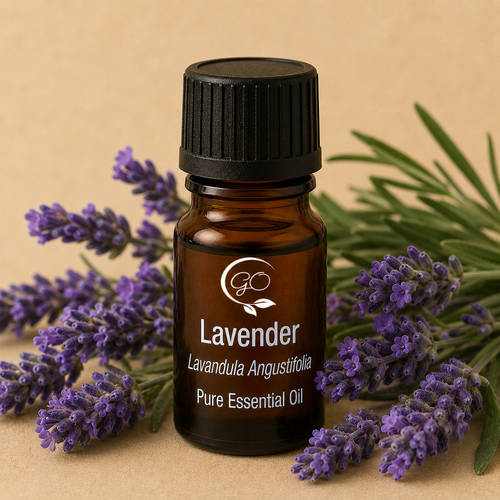 Lavender Essential Oil