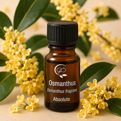Osmanthus Absolute