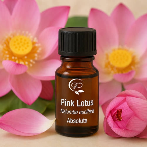 Pink Lotus Absolute