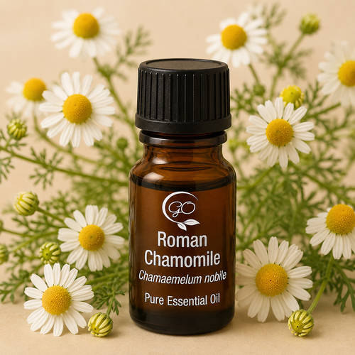 Roman Chamomile Essential Oil