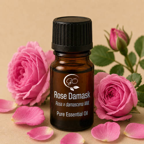 Rose Damask Essential Oil