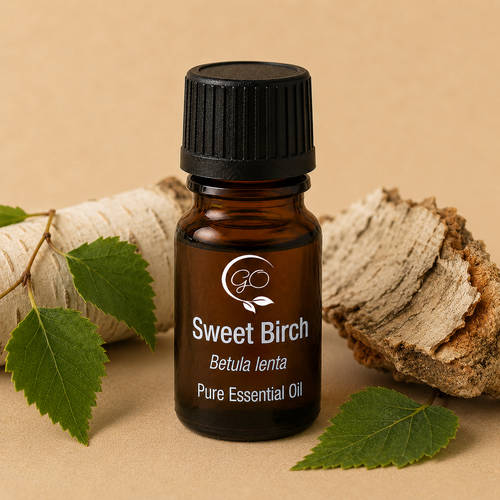 Sweet Birch Essential Oil