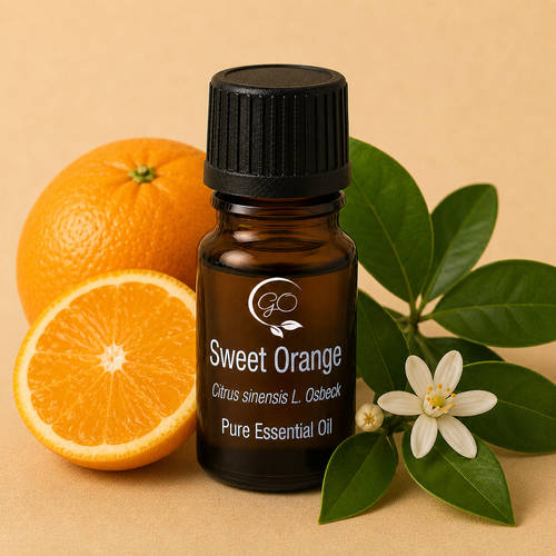 Sweet Orange Essential Oil