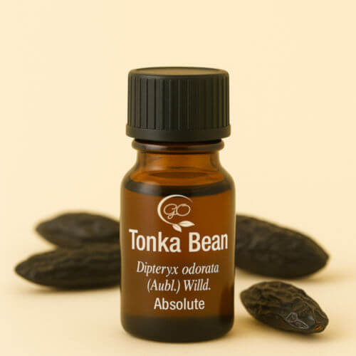 Tonka Bean Absolute